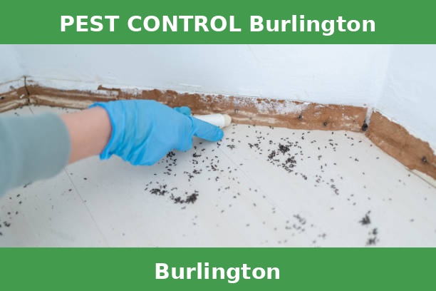 PEST CONTROL Burlington